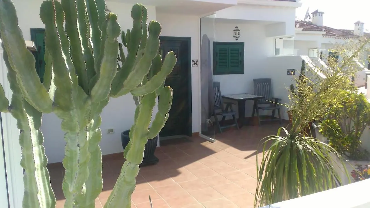 Apartamento Vista Violetas Puerto de la Cruz  0*, Puerto de la Cruz (Tenerife)